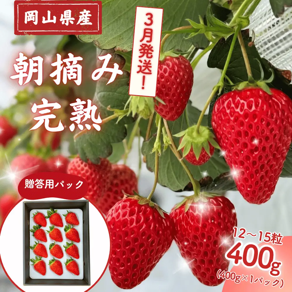 【2027年3月発送】先行予約 朝摘み 完熟いちご  贈答用 400g  M-FI-A40A