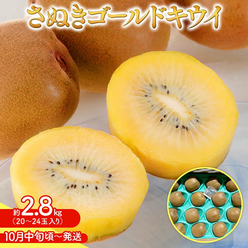 【10月中旬頃～発送】さぬきゴールド キウイ  約 2.8kg キウイフルーツ
