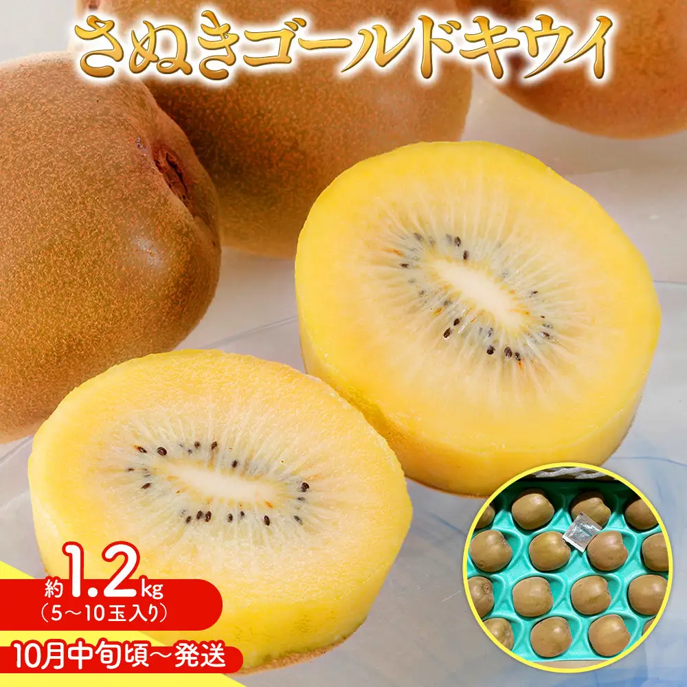 【10月中旬頃～発送】さぬきゴールド キウイ 約 1.2kg キウイフルーツ