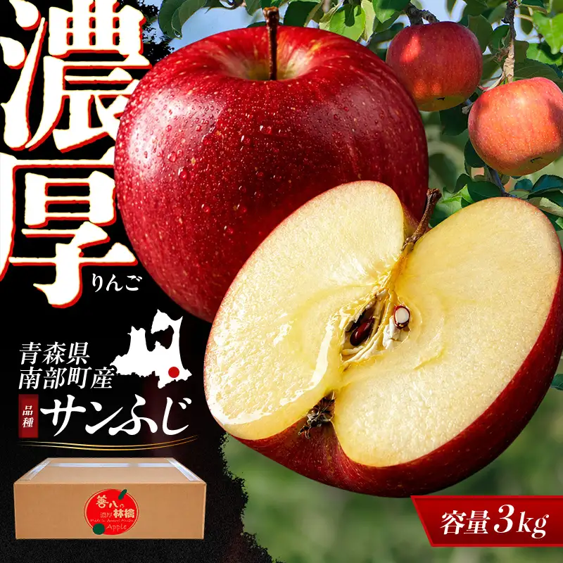 青森県 南部町産 濃厚りんご サンふじ 約3kg 【アグリーデザイン】 F21U-731
