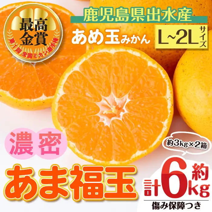i1364-B 先行予約受付中！＜2026年11月中旬～2027年1月下旬の間に発送予定＞【特別栽培・最高金賞】【特別栽培・最高金賞】あめ玉みかん・大玉サイズ  あま福玉 (L~2L / 約6kg (約3kg×2箱)＋傷み保障200ｇ(3～4玉)) みかん 蜜柑 ミカン 柑橘 果物 フルーツ 果実 国産 鹿児島 【Farmer friends Marche】