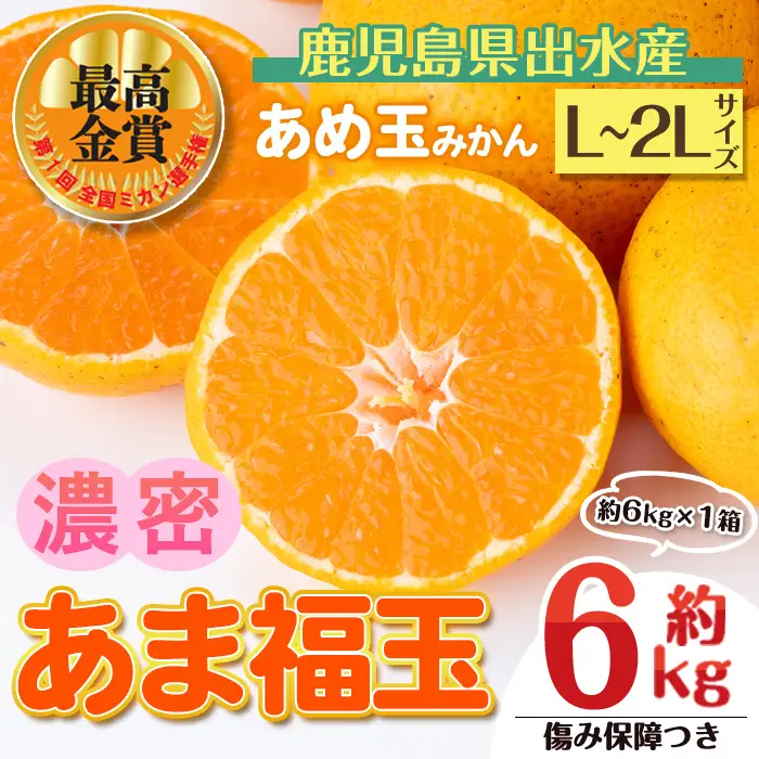 i1364-C 先行予約受付中！＜2026年11月中旬～2027年1月下旬の間に発送予定＞【特別栽培・最高金賞】【特別栽培・最高金賞】あめ玉みかん・大玉サイズ  あま福玉 (L~2L / 約6kg (約6kg×1箱)＋傷み保障200ｇ(3～4玉)) みかん 蜜柑 ミカン 柑橘 果物 フルーツ 果実 国産 鹿児島 【Farmer friends Marche】