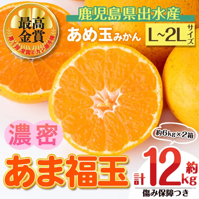 i1364-D 先行予約受付中！＜2026年11月中旬～2027年1月下旬の間に発送予定＞【特別栽培・最高金賞】【特別栽培・最高金賞】あめ玉みかん・大玉サイズ  あま福玉 (L~2L / 約12kg (約6kg×2箱)＋傷み保障 約200g (3～4玉)) みかん 蜜柑 ミカン 柑橘 果物 フルーツ 果実 国産 鹿児島 【Farmer friends Marche】