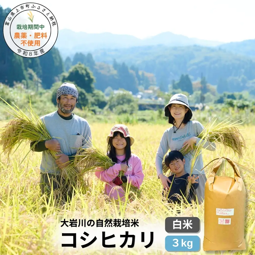 【栽培期間中農薬・肥料不使用】令和8年産 大岩川の自然栽培米コシヒカリ（白米）3kg 新米 3キロ こしひかり 白米 精米 自然栽培 自然栽培米 農薬不使用 肥料不使用 除草剤不使用 富山県産 富山県 上市町 剱岳 湧水 大岩川 富山米 国産 少量 お試し 一人暮らし 家族 自家採種 有吉自然農場 産地直送 贈り物 ギフト おにぎり お弁当 ごはん 人気 おすすめ 米 お米 こめ おこめ コメ