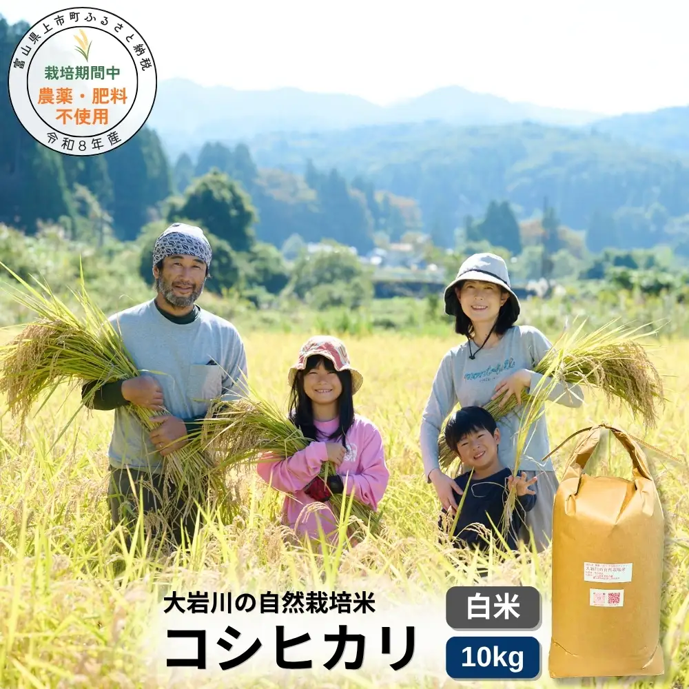 【栽培期間中農薬・肥料不使用】令和8年産 大岩川の自然栽培米コシヒカリ（白米）10kg 新米 10キロ こしひかり 白米 精米 自然栽培 自然栽培米 農薬不使用 肥料不使用 除草剤不使用 富山県産 富山県 上市町 剱岳 湧水 大岩川 富山米 国産 まとめ買い 大容量 家族 毎日 自家採種 有吉自然農場 産地直送 贈り物 ギフト おにぎり お弁当 ごはん 人気 おすすめ 米 お米 こめ おこめ コメ