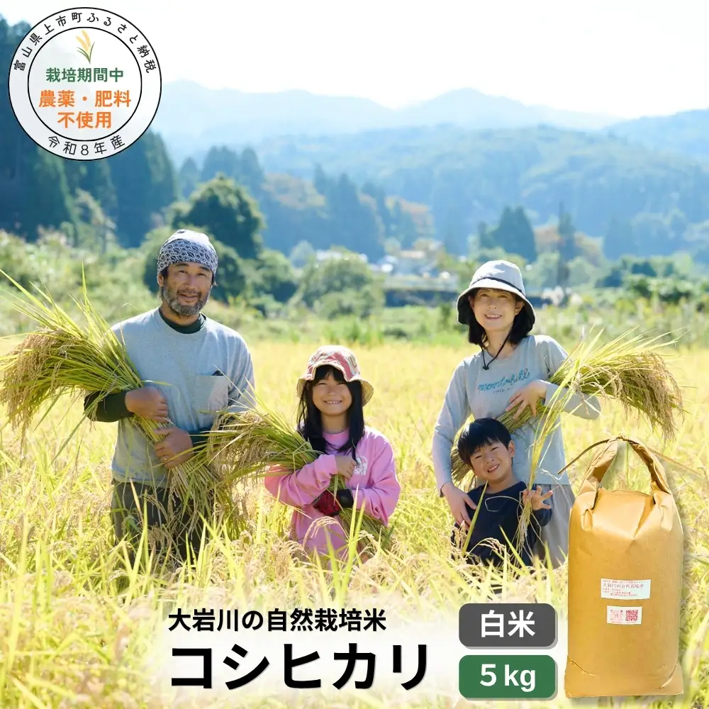 【栽培期間中農薬・肥料不使用】令和8年産 大岩川の自然栽培米コシヒカリ（白米）5kg 新米 5キロ こしひかり 白米 精米 自然栽培 自然栽培米 農薬不使用 肥料不使用 除草剤不使用 富山県産 富山県 上市町 剱岳 湧水 大岩川 富山米 国産 まとめ買い ファミリー 家族 毎日 自家採種 有吉自然農場 産地直送 贈り物 ギフト おにぎり お弁当 ごはん 人気 おすすめ 米 お米 こめ おこめ コメ