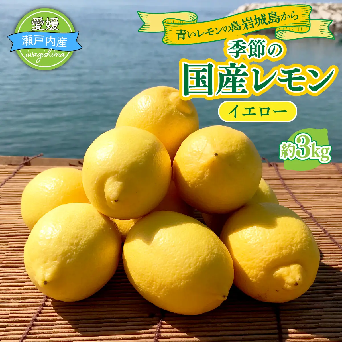 【配送エリア：北海道・沖縄】【先行予約2027年1月発送】青いレモンの島 国産レモン イエロー 約3kg