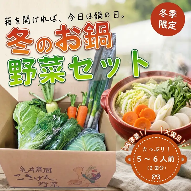野菜セット 5～6人前 鍋 鍋野菜 10種類 