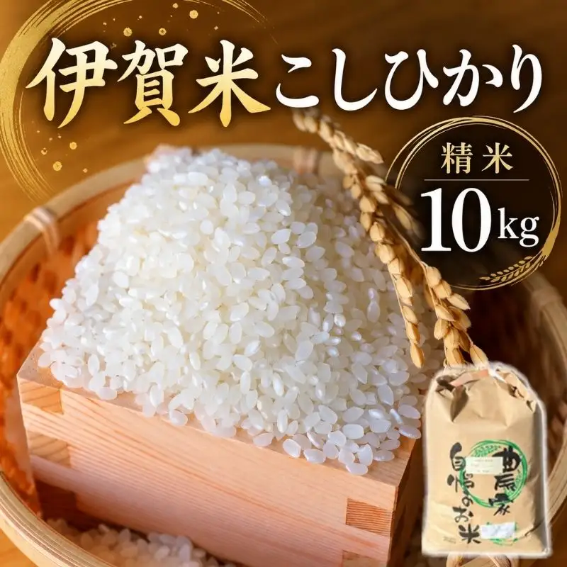 令和8年産伊賀米 こしひかり（白米）約10kg【cook0057】