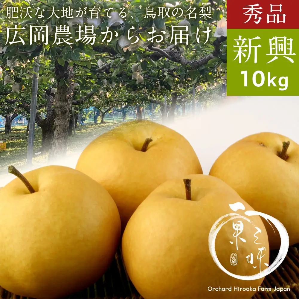 秀品 新興梨（10kg前後）【鳥取県 境港市】