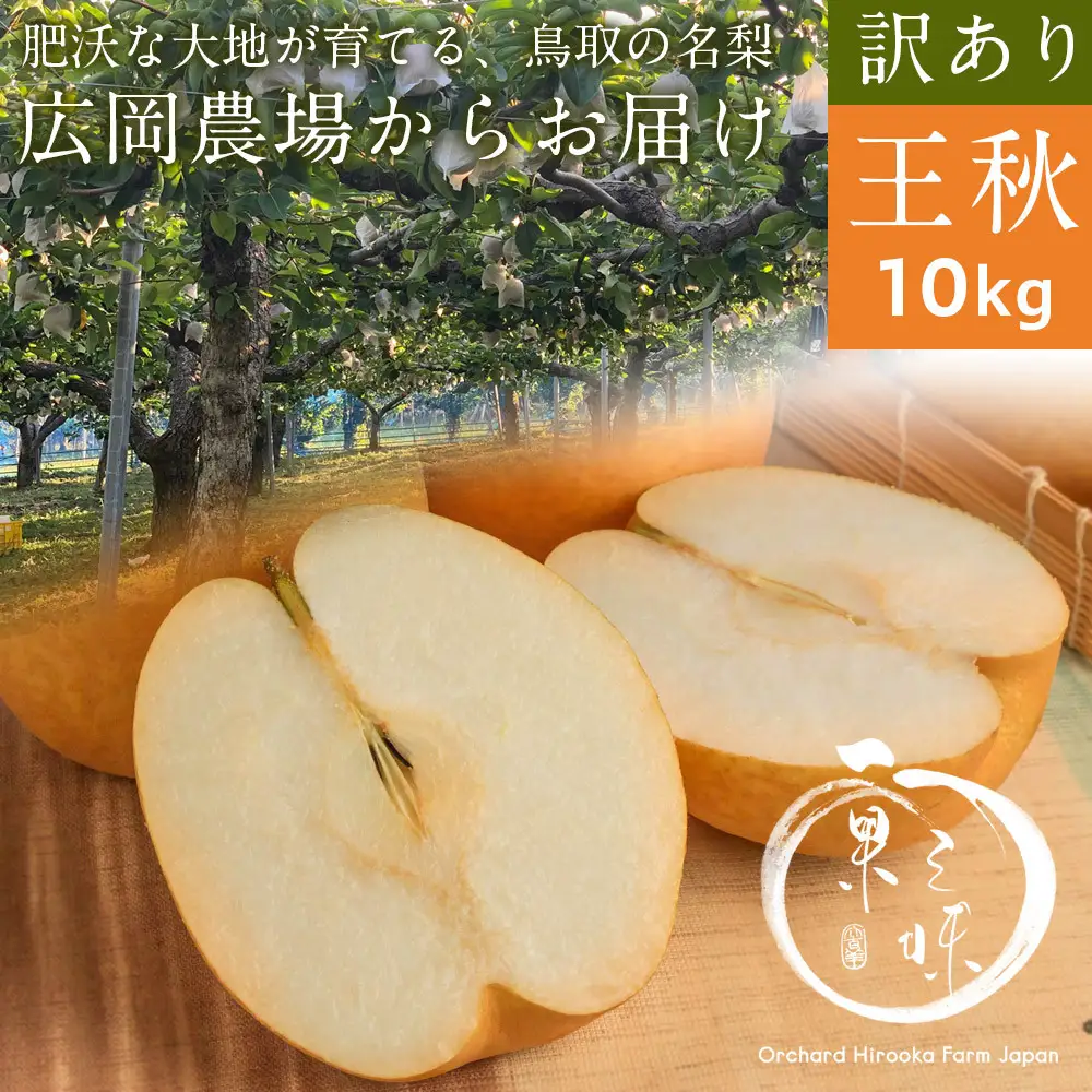 訳あり王秋梨（10kg前後）【鳥取県 境港市】
