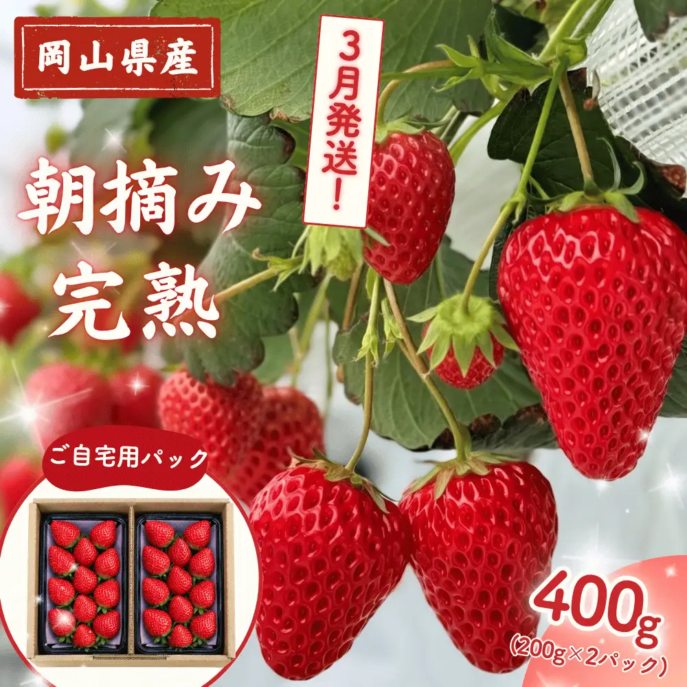 【2027年3月発送】先行予約 朝摘み 完熟いちご  自宅用 400g(200g×2)  M-FI-A56A