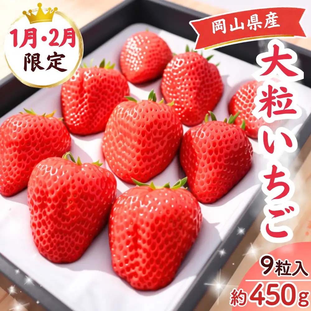 【2027年1・2月発送】先行予約 朝摘み 完熟大粒いちご  贈答用 約450g  M-FI-A38A