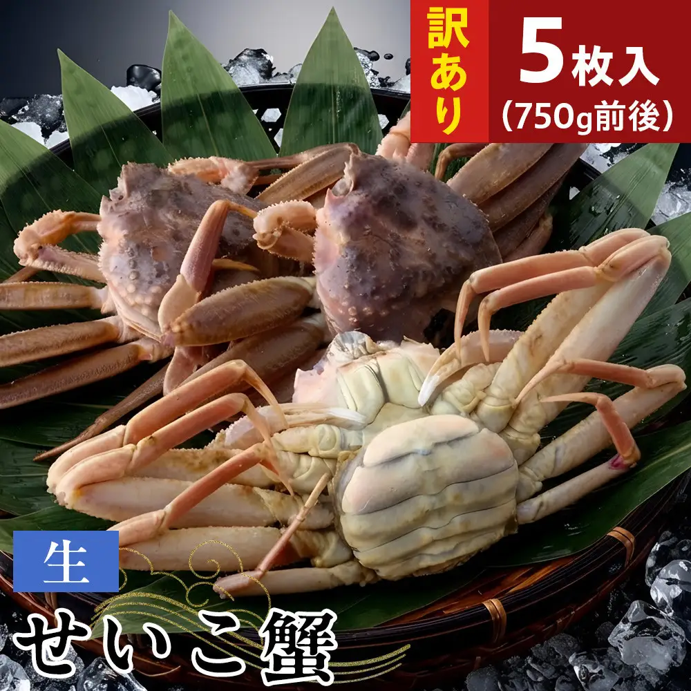 【11月中旬以降発送】訳あり 生せいこ蟹×5枚（750g前後）【鳥取県 境港市】