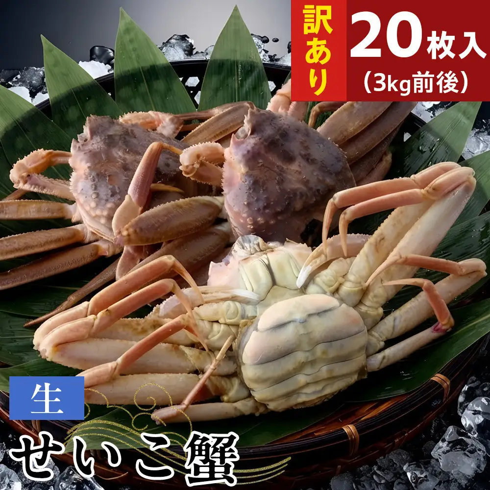 【11月中旬以降発送】訳あり 生せいこ蟹×20枚（3kg前後）【鳥取県 境港市】