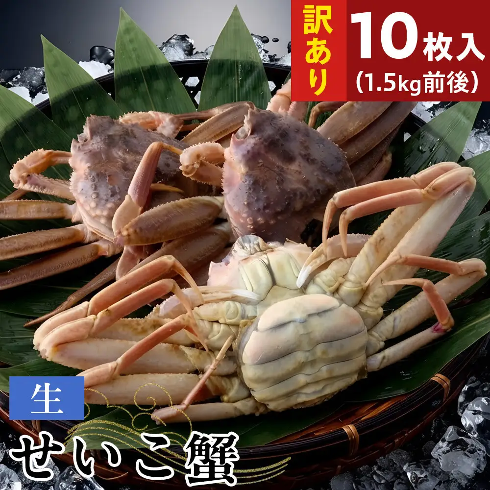【11月中旬以降発送】訳あり 生せいこ蟹×10枚（1.5kg前後）【鳥取県 境港市】