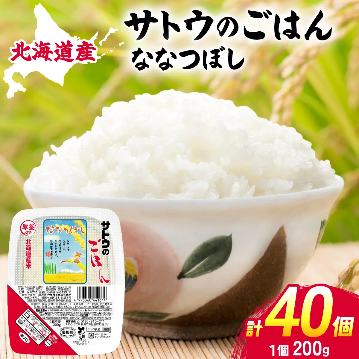 サトウのごはん 北海道産ななつぼし 200g×40個 【a181-006】
