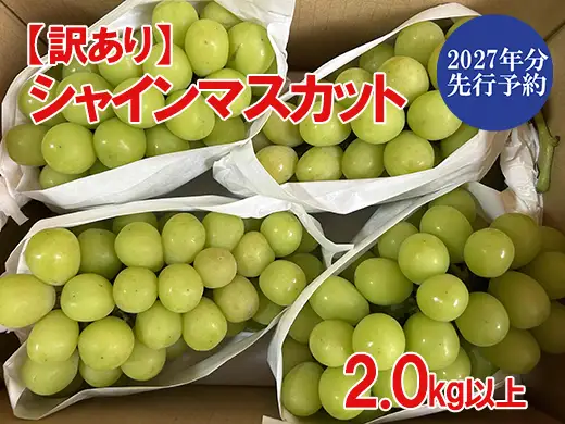 【2027年発送分 先行予約】【訳あり】シャインマスカット  2kg以上 (3～6房) 【8月下旬以降発送予定】 訳アリ 訳あり品 シャイン マスカット ぶどう ブドウ 葡萄 徳用 家庭用 ご家庭用 旬 新鮮 くだもの 果物 フルーツ 山梨 やまなし 富士川町