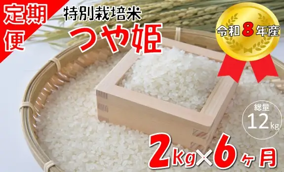 【6回定期便】山形県小国町産 つや姫2kg　計12kg　小国米穀商業協同組合