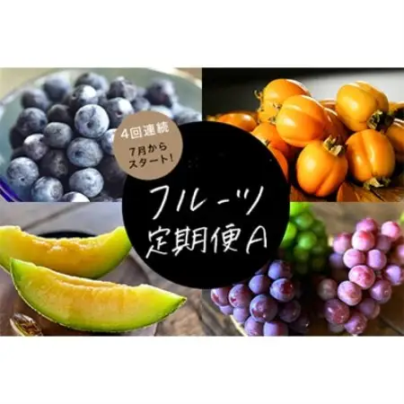 【発送月固定定期便】フルーツ定期便A 旬の美味しい果物を毎月1種全4回【配送不可地域：離島】【4014850】