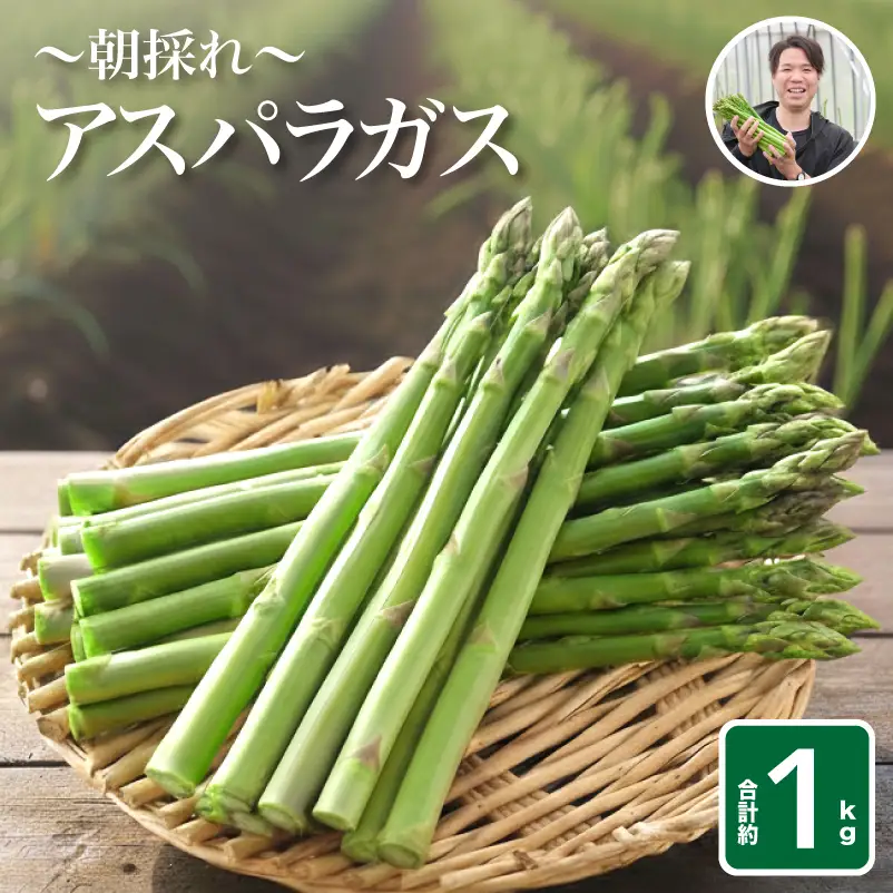 【先行予約】アスパラガス 1kg 3月〜4月頃発送 L～2L アスパラ FP