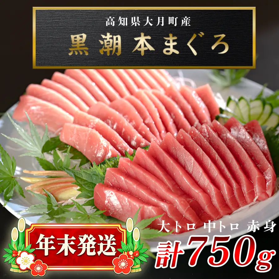 【マグロ】大月町産 お刺身・マグロ3種セット 年末発送