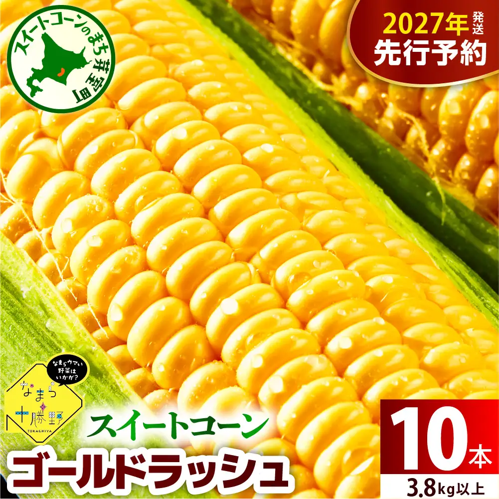 とうもろこし ゴールドラッシュ 10本 トウモロコシ 北海道 芽室町
