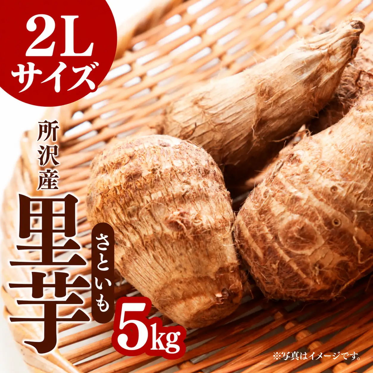 里芋 2L 5kg 【事前受付】 | さといも サトイモ 根菜 野菜 産地直送 季節限定 マル九農園