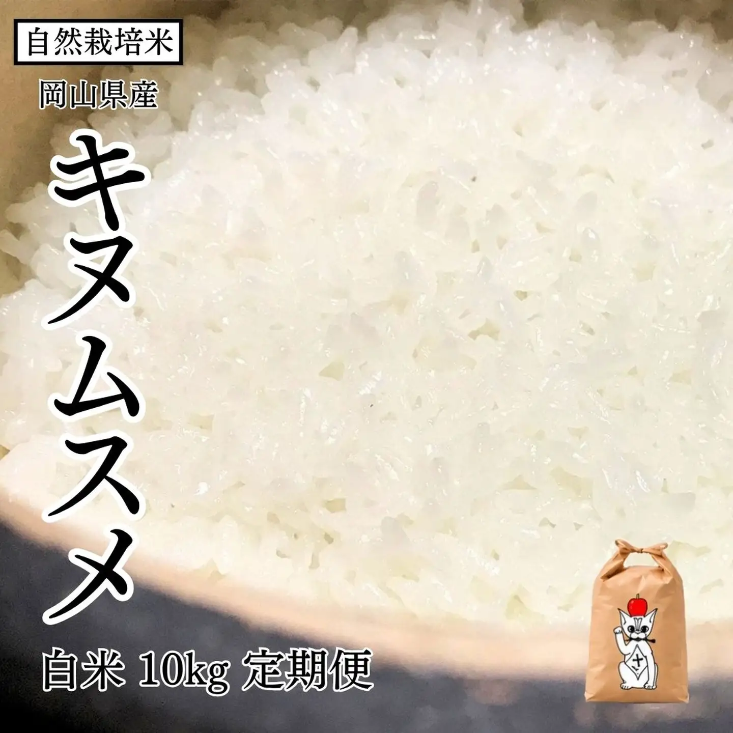 新米 令和8年産 【先行予約】 瀬戸内 自然栽培米 「キヌムスメ」白米 10kg 定期便 12ヵ月（隔月配送） 無農薬 無肥料 米 自然栽培 こめ 岡山県 瀬戸内市 さしすせそ Wacca Farm