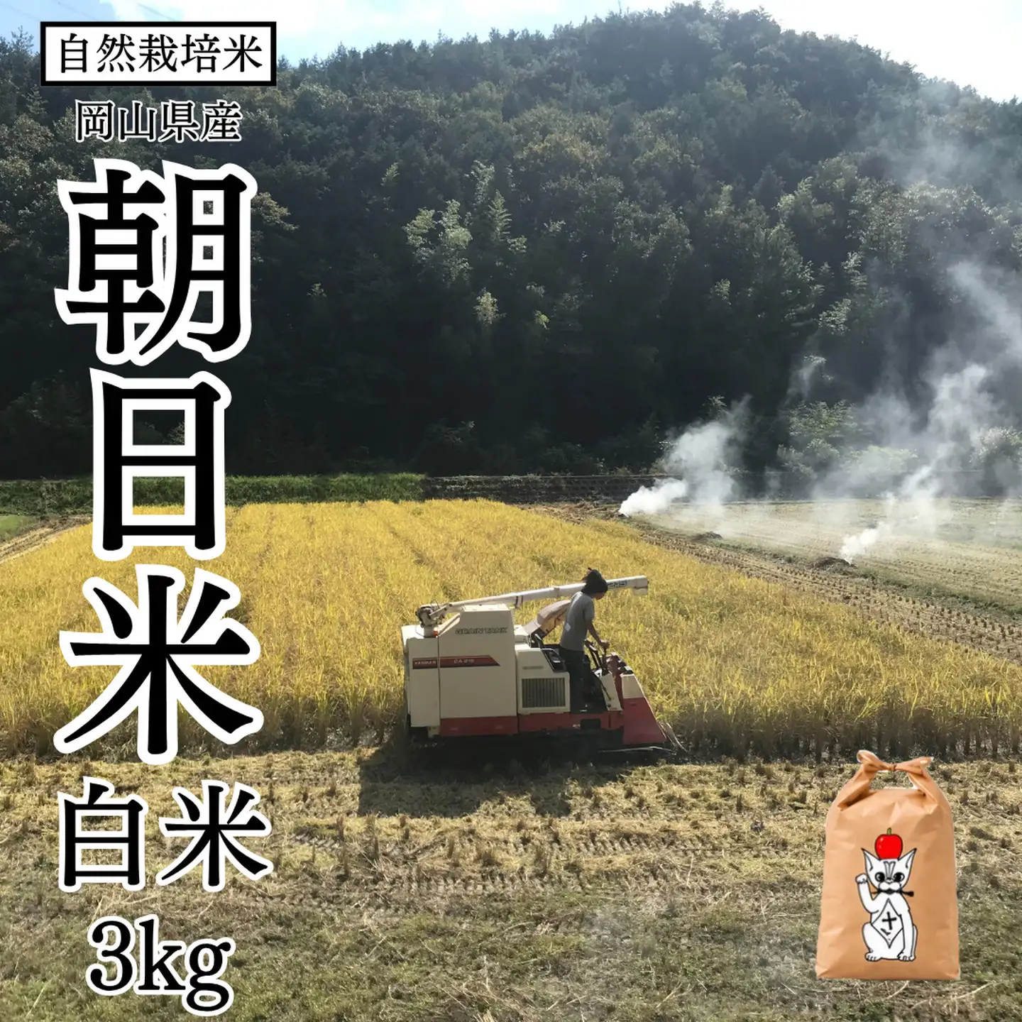 新米 令和8年産 【先行予約】 瀬戸内 自然栽培米 「朝日米」白米 3kg 無農薬 無肥料 米 自然栽培 こめ 岡山県 瀬戸内市 さしすせそ Wacca Farm