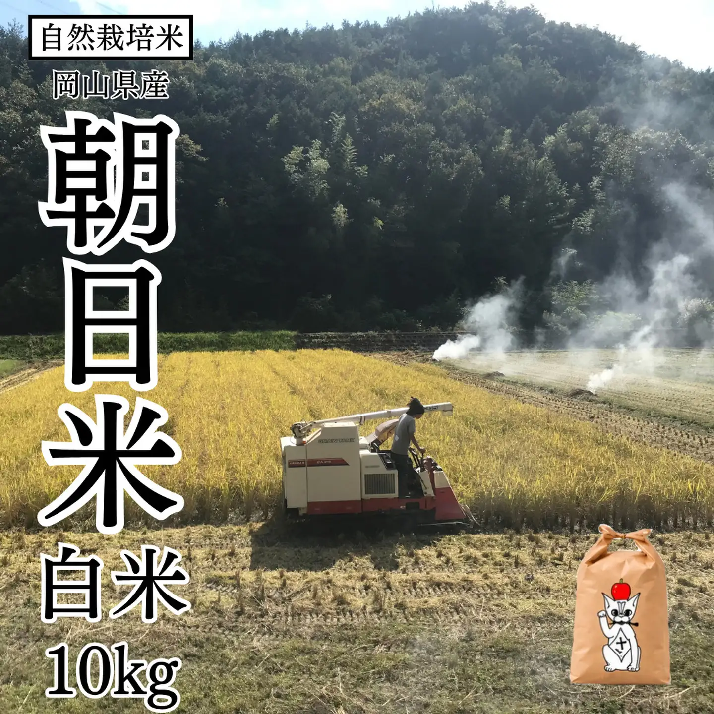 新米 令和8年産 【先行予約】 瀬戸内 自然栽培米 「朝日米」白米 10kg 無農薬 無肥料 米 自然栽培 こめ 岡山県 瀬戸内市 さしすせそ Wacca Farm