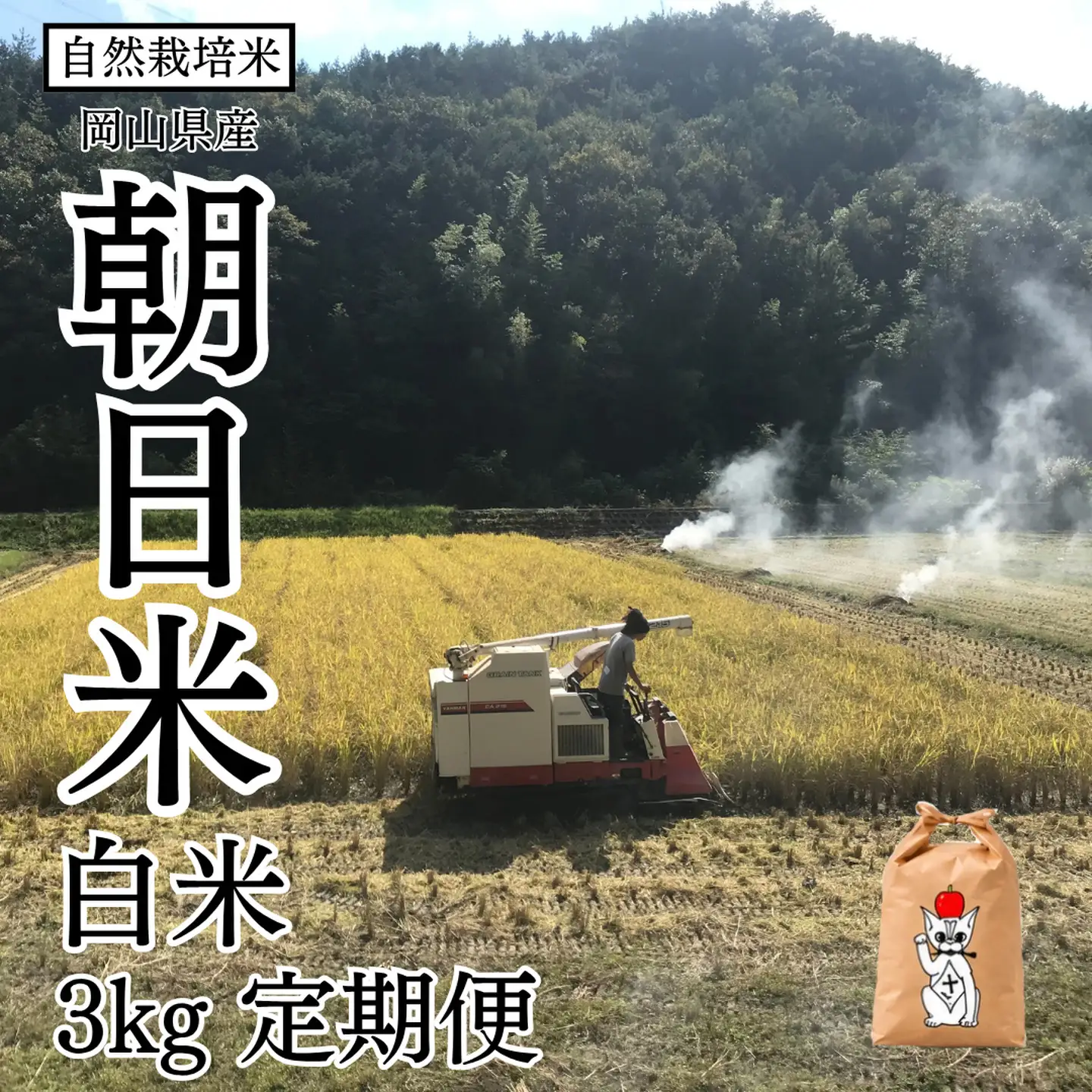 新米 令和8年産 【先行予約】 瀬戸内 自然栽培米 「朝日米」白米 3kg 定期便 3ヵ月 無農薬 無肥料 米 自然栽培 こめ 岡山県 瀬戸内市 さしすせそ Wacca Farm
