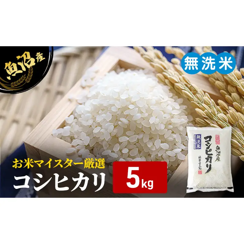 お米マイスター厳選　魚沼産コシヒカリ（無洗米）5kg 米 お米 こしひかり 魚沼市