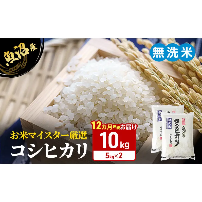 お米マイスター厳選　魚沼産コシヒカリ（無洗米）10kg（5kg×2） 12ヶ月連続お届け 米 お米 こしひかり 定期 定期便 魚沼市