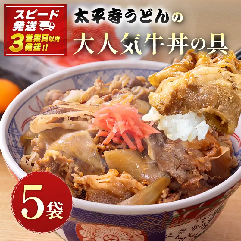 【3営業日以内発送!!】《選べる内容量》 牛丼 肉 小分け 5袋