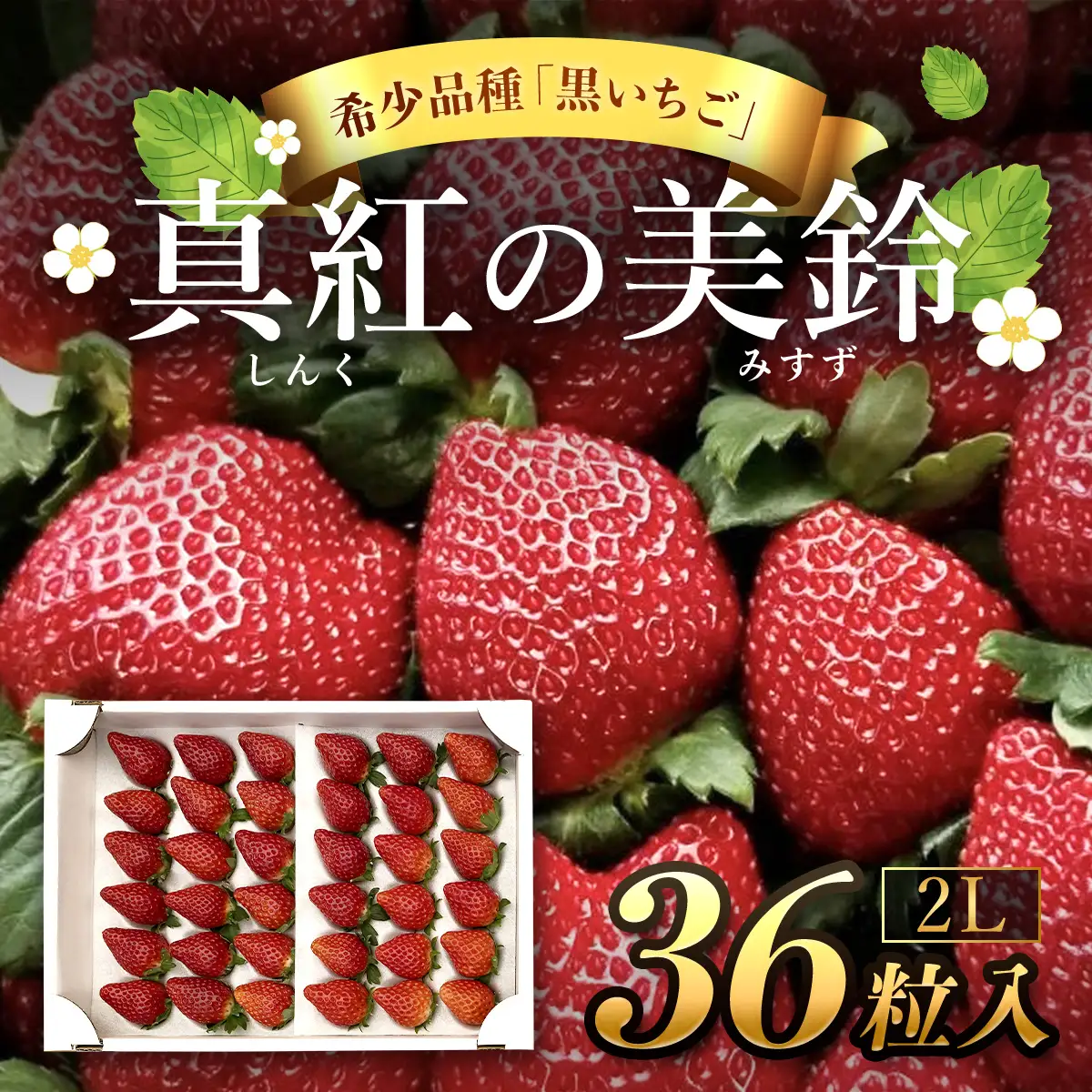 【先行予約】【2026年12月中旬より順次発送】希少品種 黒いちご 真紅の美鈴 2L36粒入り SMAN001