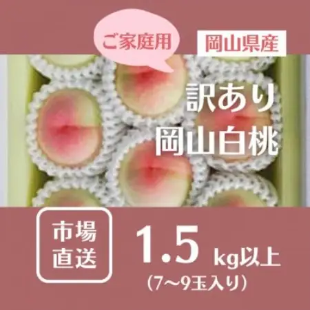 【2027年発送】ご家庭用 訳あり 岡山県産岡山白桃7-9玉(計1.5kg以上)【配送不可地域：離島】【1772250】