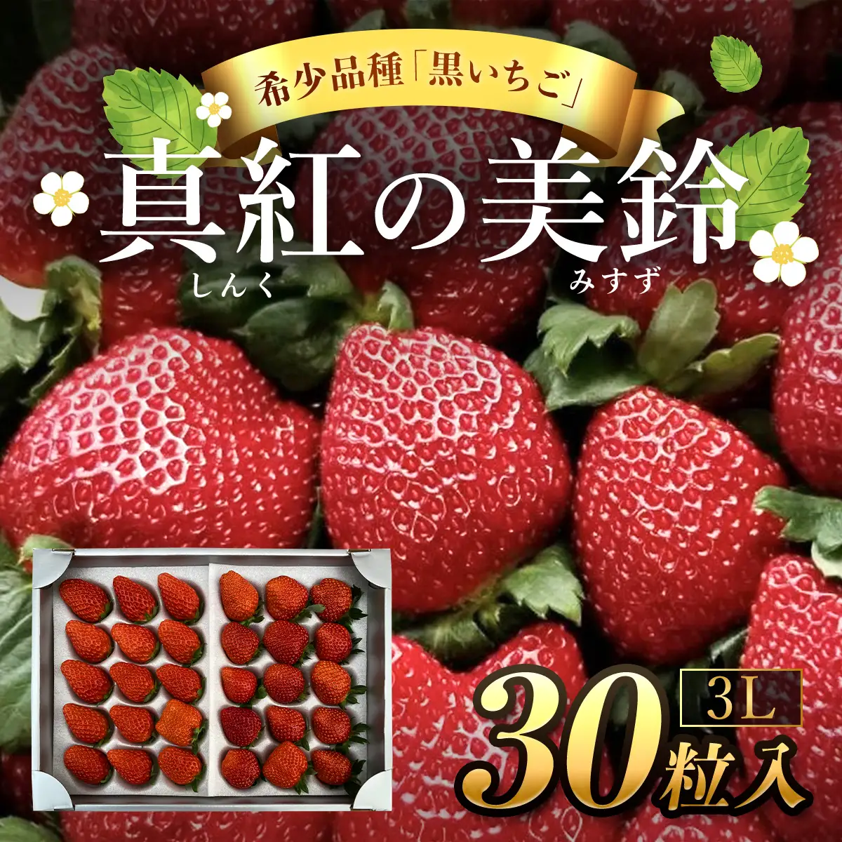 【先行予約】【2026年12月中旬より順次発送】希少品種 黒いちご 真紅の美鈴 3L30粒入り SMAN002