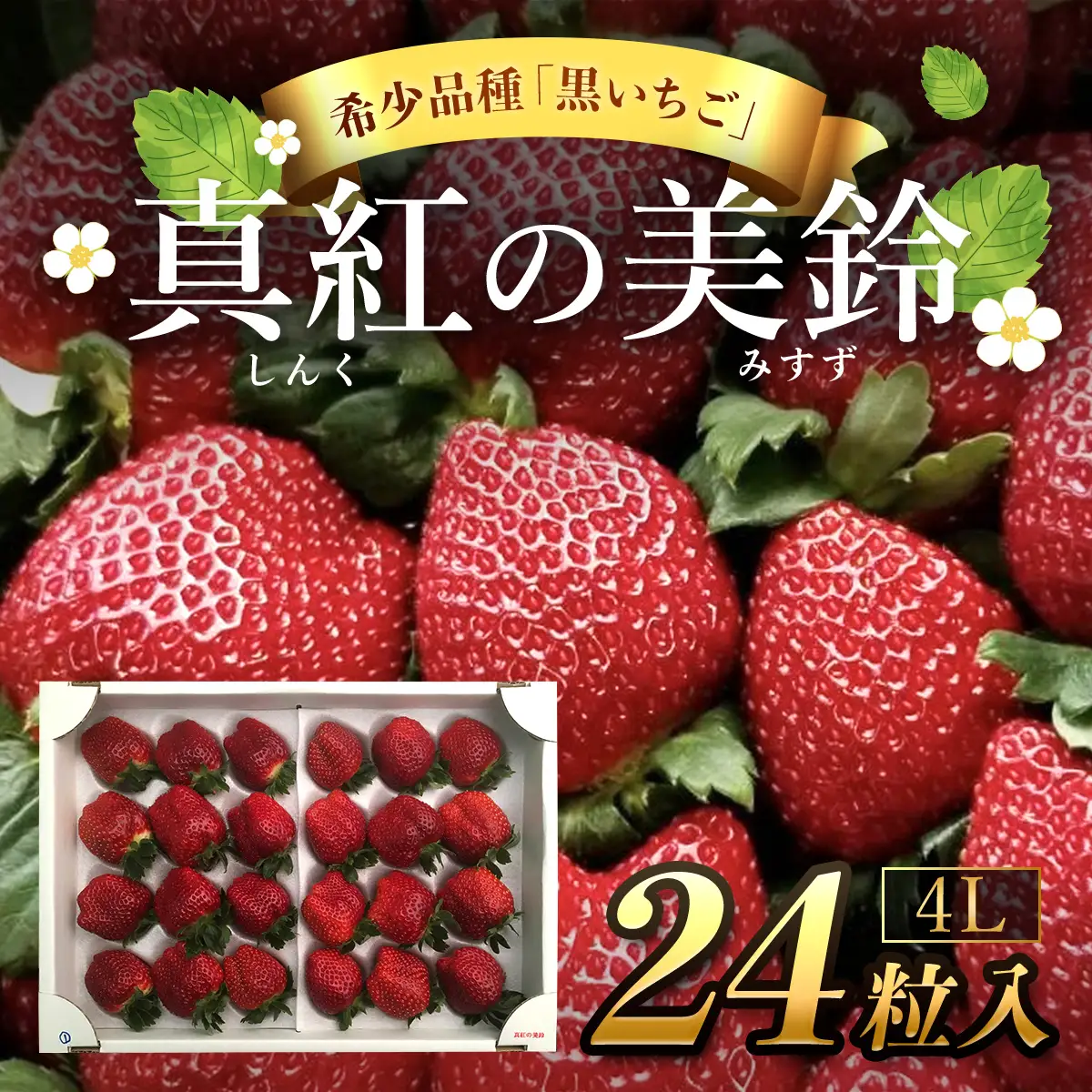 【先行予約】【2026年12月中旬より順次発送】希少品種 黒いちご 真紅の美鈴 4L24粒入り SMAN003