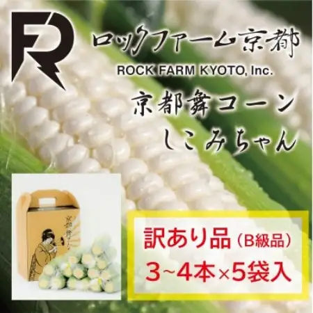 【先行受付】ロックファーム京都　しこみちゃん　京都舞コーンのB級品(ホワイトコーン)白いトウモロコシ【配送不可地域：離島・北海道・沖縄県・東北】【1786844】