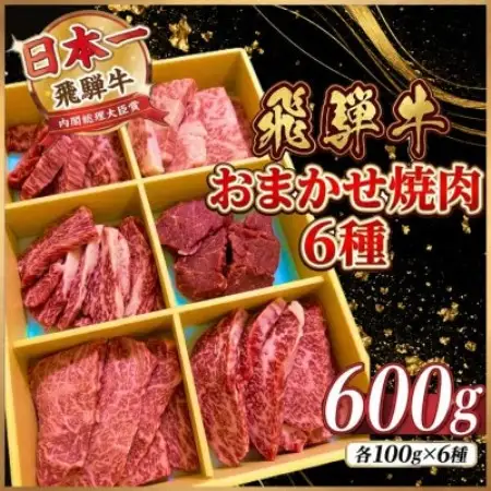 【訳あり】飛騨牛　おまかせ焼肉6種　計600g(各100g×6種)【配送不可地域：離島】【2001661】