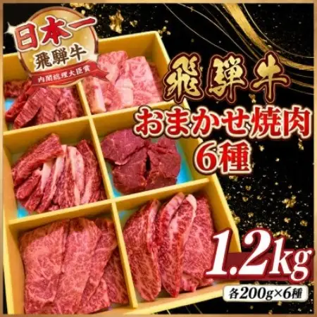 【訳あり】飛騨牛　おまかせ焼肉6種　計1.2kg(各200g×6種)【配送不可地域：離島】【2001662】
