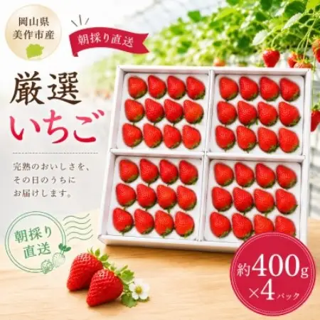 【2027年1月より順次発送】岡山県美作市産　厳選いちご(約400g×4パック)【配送不可地域：離島・北海道・沖縄県】【1788437】