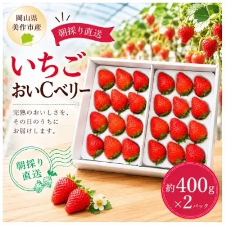 【2027年1月より順次発送】岡山県美作市産　おいCベリー(約400g×2パック)【配送不可地域：離島・北海道・沖縄県】【1788594】