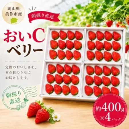 【2027年1月より順次発送】岡山県美作市産　おいCベリー(約400g×4パック)【配送不可地域：離島・北海道・沖縄県】【1788599】