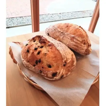 古代小麦スペルトの田舎パン(オレンジピールとチョコチップ)と焼き菓子のセット計5個【配送不可地域：離島】【1787144】
