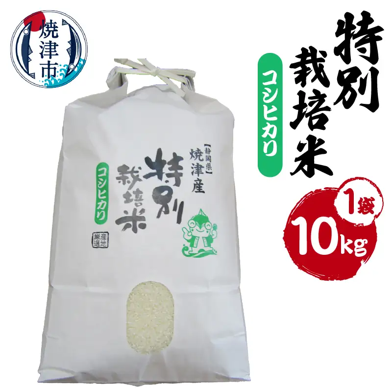 新米　令和8年産　特別栽培米　こしひかり　10Kg　農家のお米 (a31-016)