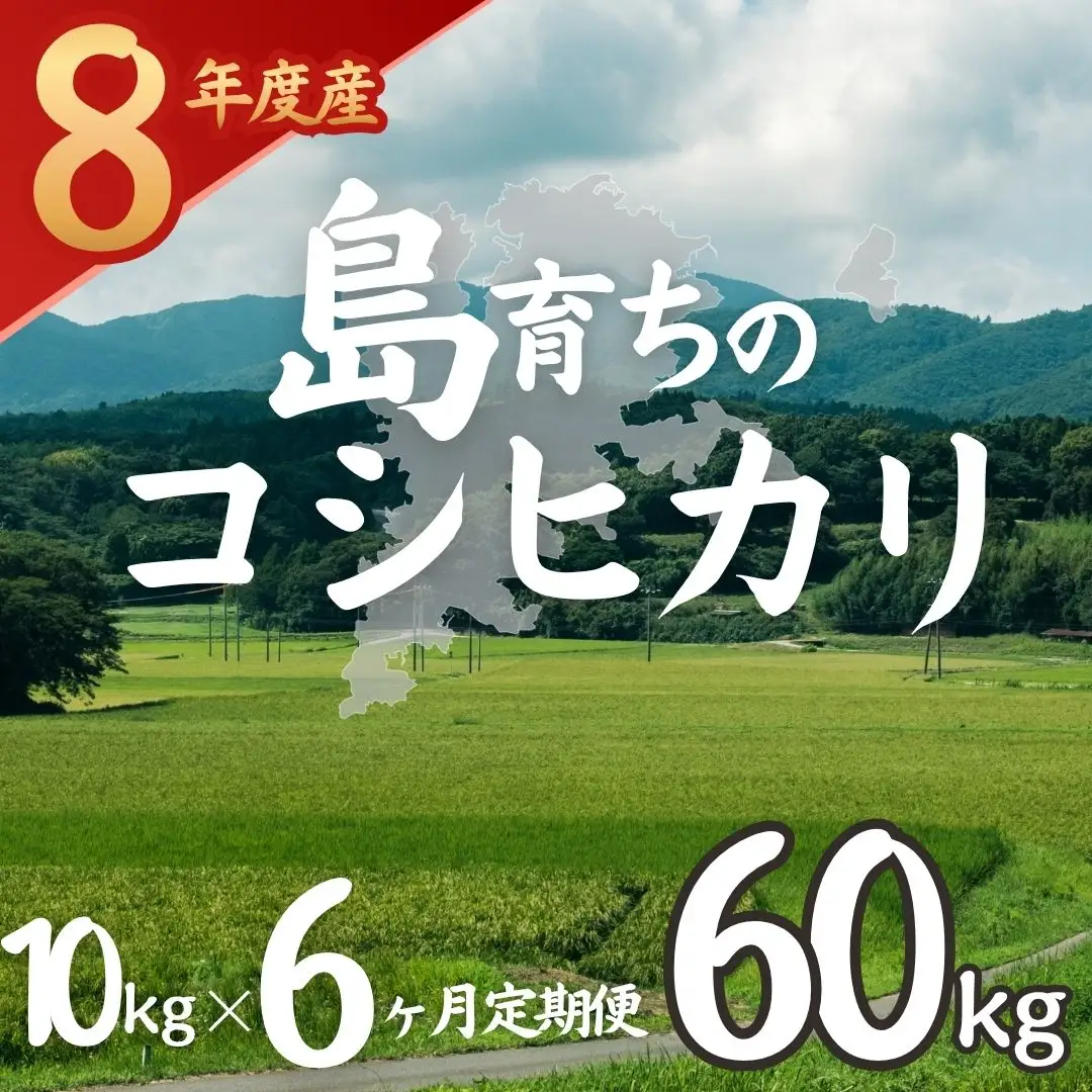  【令和8年度産】お米 コシヒカリ 10kg×6か月  精米
