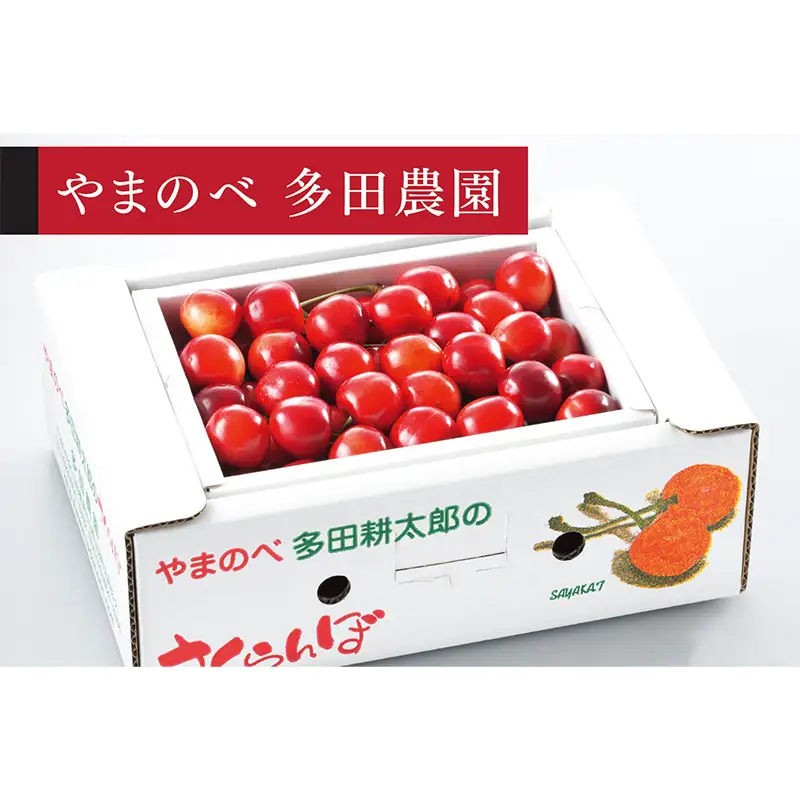 《2027年先行予約》【真夏のルビー紅姫】バラ詰 約500g【やまのべ多田耕太郎のさくらんぼ 多田農園】期間限定 数量限定 7月上旬より発送 山形県産 サクランボ フルーツ 果物 くだもの F4A-1065