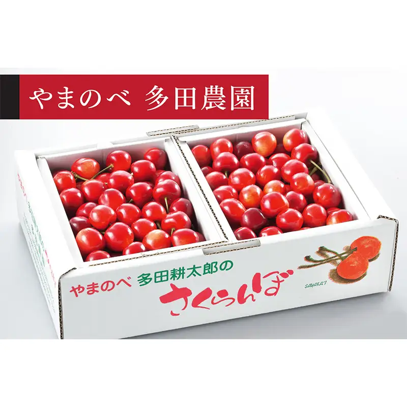 《2027年先行予約》【真夏のルビー紅姫】バラ詰 約500g×2【やまのべ多田耕太郎のさくらんぼ 多田農園】期間限定 数量限定 7月上旬より発送 山形県産 サクランボ フルーツ 果物 くだもの 1kg F4A-1066